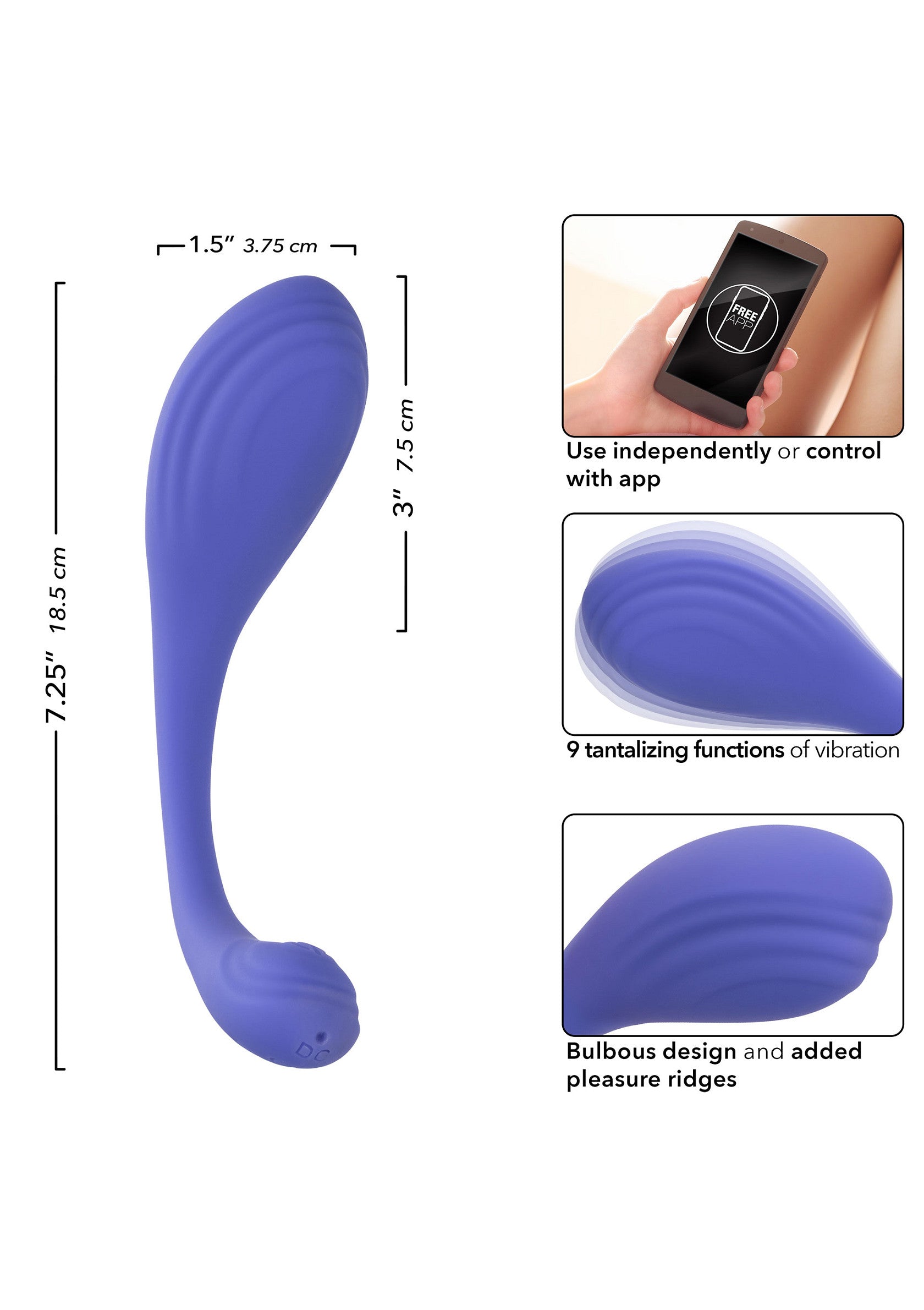 16732_PURPLE_05_fa766681-af56-4cbe-bf88-36d679daee5e.jpg